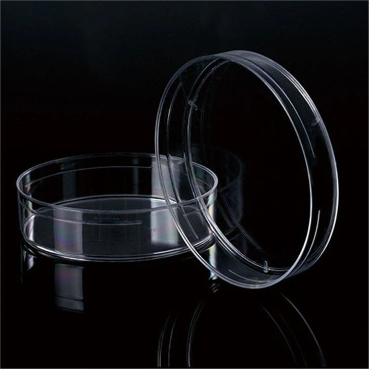 Culture Plate Disposable Culture Plate